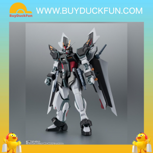 THE ROBOT SPIRITS  [ROBOT魂]GAT-X105E+AQM/E-X09S 突擊羅亞高達ver. A.N.I.M.E.
