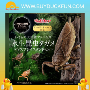 Premium Bandai [GOL] 動物大圖鑑 田鱉(大負子蟲) (全套3款)