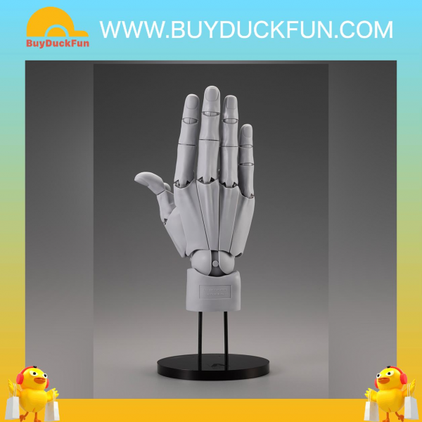 Kotobukiya (AT037) Takahiro Kagami ARTIST SUPPORT ITEM HAND MODEL MEN’S/R -GRAY- 1/1 Action Figure