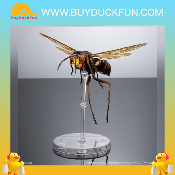 Premium Bandai Capsule Toy [GOL] 生物大圖鑑 長腳蜂 展示支架套裝 - Image 3