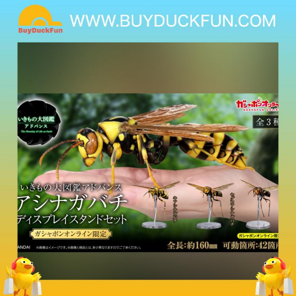 Premium Bandai Capsule Toy [GOL] 生物大圖鑑 長腳蜂 展示支架套裝 - Image 9
