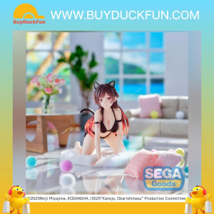 Sega Yumemirize《出租女友》水原千鶴