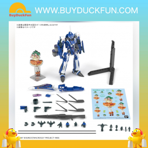 Bandai HG 1/100 VF-25G 彌賽亞女武神 米海爾 套裝